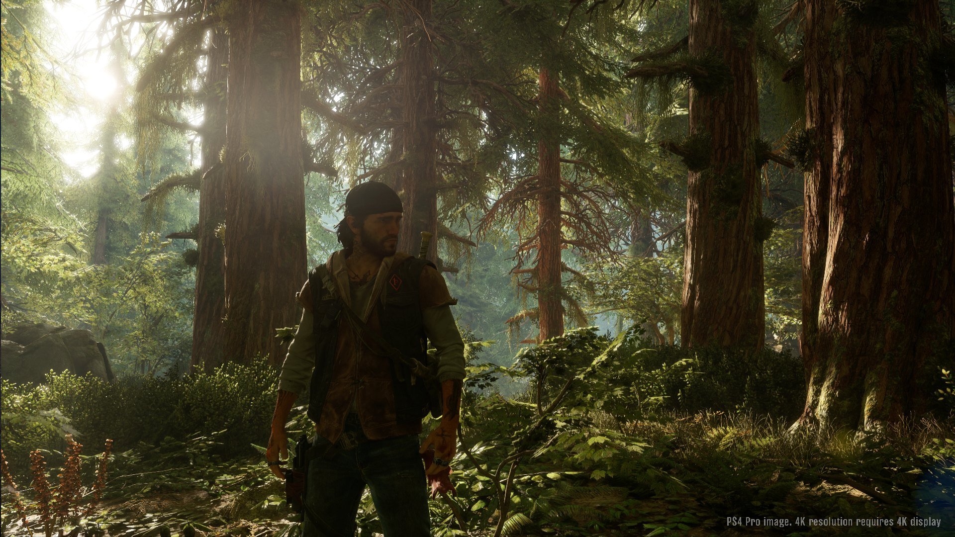 Days Gone - Imagen 24